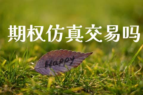 期权仿真交易吗_https://m.15771688.com_美国道指_第1张