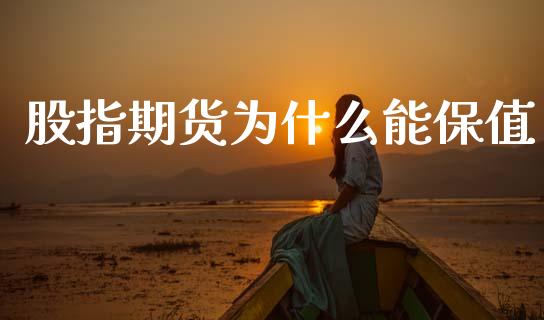 股指期货为什么能保值_https://m.15771688.com_期货手续费_第1张