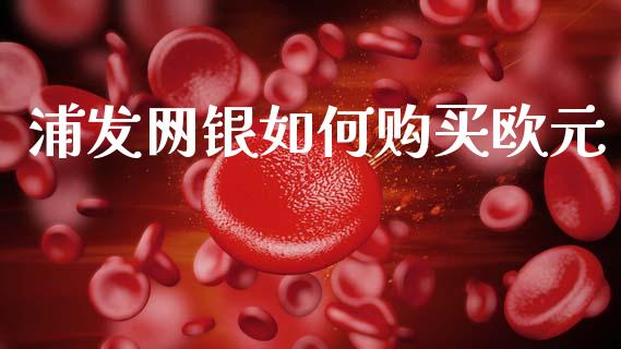 浦发网银如何购买欧元_https://m.15771688.com_道指实时行情_第1张