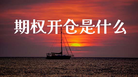 期权开仓是什么_https://m.15771688.com_期货开户_第1张