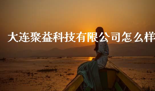 大连聚益科技有限公司怎么样_https://m.15771688.com_道指实时行情_第1张