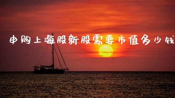 申购上海股新股需要市值多少钱_https://m.15771688.com_道指实时行情_第1张