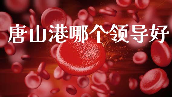 唐山港哪个领导好_https://m.15771688.com_期货开户_第1张