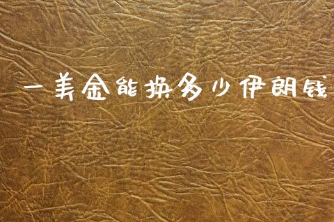 一美金能换多少伊朗钱_https://m.15771688.com_道指实时行情_第1张