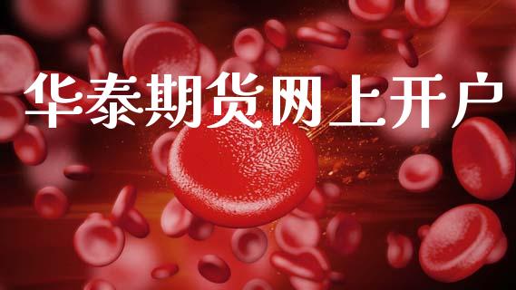 华泰期货网上开户_https://m.15771688.com_期货手续费_第1张