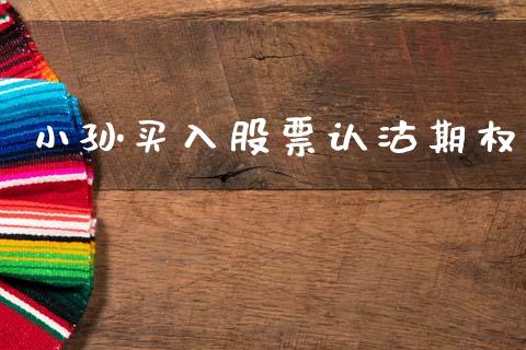 小孙买入股票认沽期权_https://m.15771688.com_美国道指_第1张