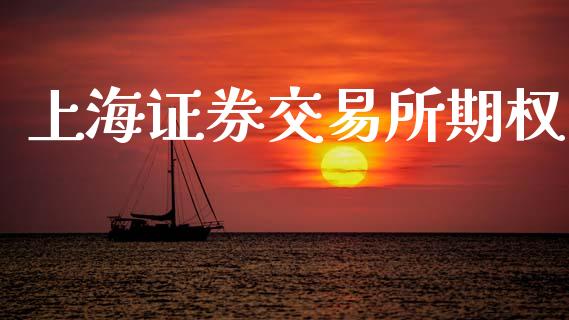 上海证券交易所期权_https://m.15771688.com_美国道指_第1张