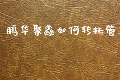 鹏华聚鑫如何转托管_https://m.15771688.com_美国道指_第1张