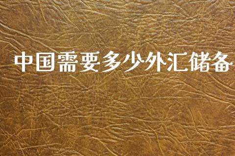 中国需要多少外汇储备_https://m.15771688.com_道指实时行情_第1张