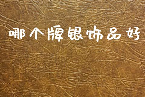 哪个牌银饰品好_https://m.15771688.com_期货手续费_第1张