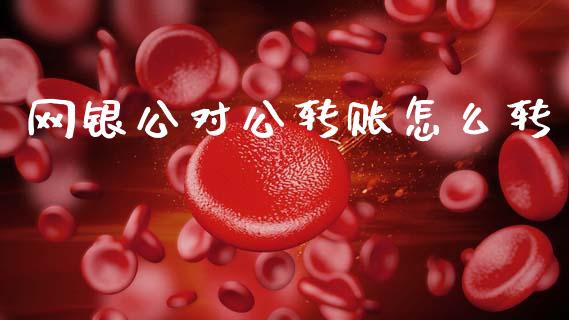 网银公对公转账怎么转_https://m.15771688.com_美国道指_第1张