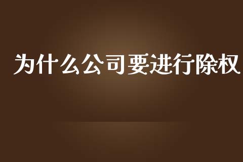 为什么公司要进行除权_https://m.15771688.com_道指实时行情_第1张