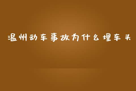 温州动车事故为什么埋车头_https://m.15771688.com_期货开户_第1张