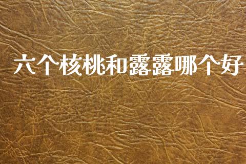 六个核桃和露露哪个好_https://m.15771688.com_期货手续费_第1张