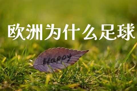 欧洲为什么足球_https://m.15771688.com_道指实时行情_第1张
