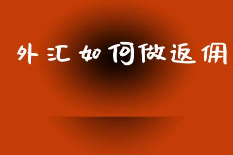 外汇如何做返佣_https://m.15771688.com_道指实时行情_第1张
