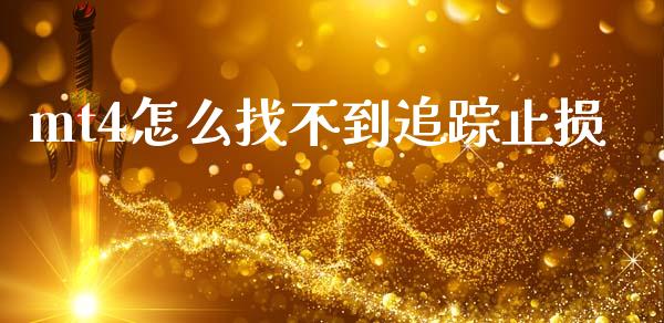 mt4怎么找不到追踪止损_https://m.15771688.com_期货手续费_第1张