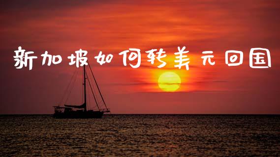 新加坡如何转美元回国_https://m.15771688.com_道指实时行情_第1张