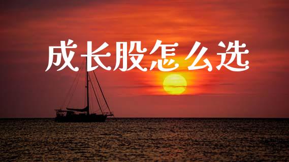 成长股怎么选_https://m.15771688.com_期货手续费_第1张