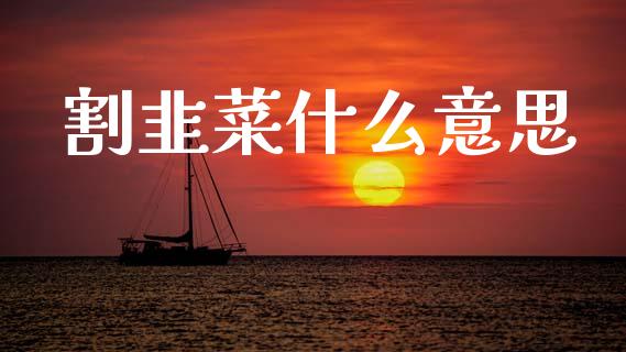 割韭菜什么意思_https://m.15771688.com_道指实时行情_第1张