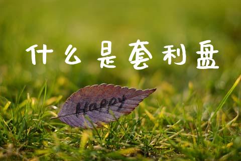 什么是套利盘_https://m.15771688.com_道指实时行情_第1张