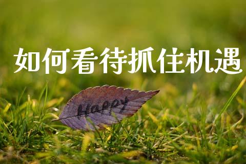 如何看待抓住机遇_https://m.15771688.com_期货开户_第1张