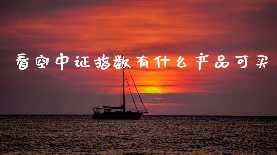 看空中证指数有什么产品可买_https://m.15771688.com_美国道指_第1张
