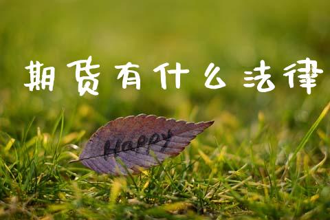 期货有什么法律_https://m.15771688.com_道指实时行情_第1张