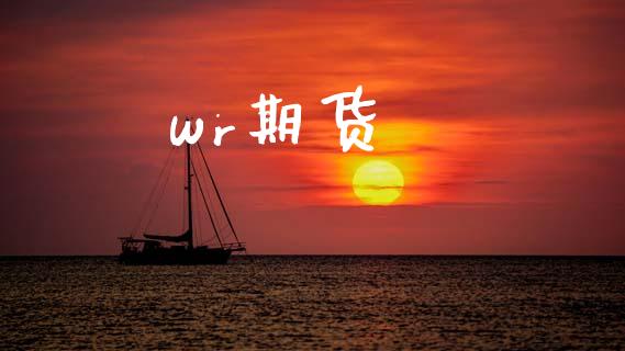 wr期货_https://m.15771688.com_期货手续费_第1张