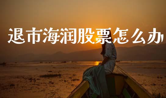 退市海润股票怎么办_https://m.15771688.com_美国道指_第1张