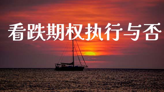 看跌期权执行与否_https://m.15771688.com_期货开户_第1张