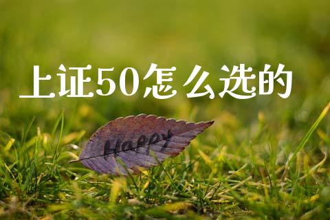 上证50怎么选的_https://m.15771688.com_道指实时行情_第1张
