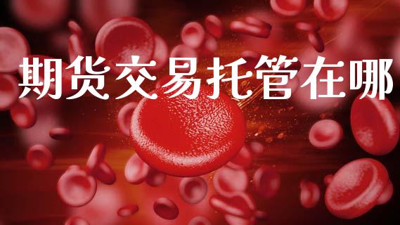 期货交易托管在哪_https://m.15771688.com_道指实时行情_第1张