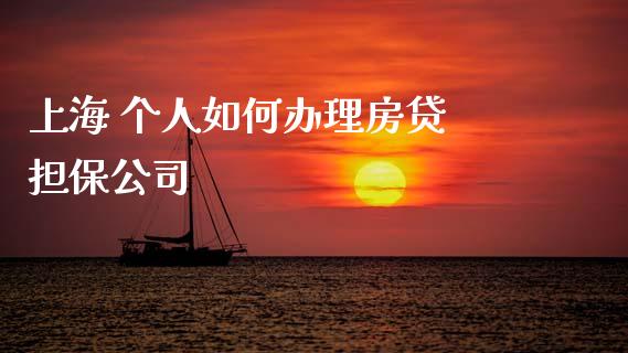 上海 个人如何办理房贷 担保公司_https://m.15771688.com_美国道指_第1张