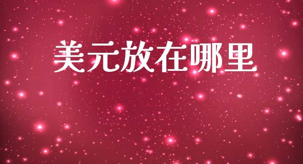 美元放在哪里_https://m.15771688.com_期货手续费_第1张