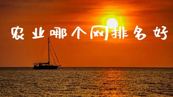 农业哪个网排名好_https://m.15771688.com_美国道指_第1张