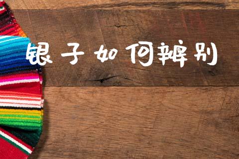 银子如何辨别_https://m.15771688.com_美国道指_第1张
