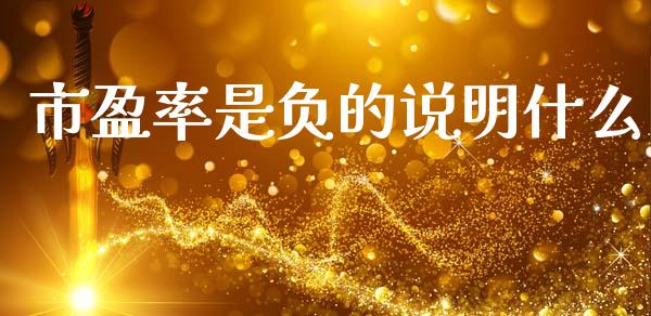 市盈率是负的说明什么_https://m.15771688.com_期货开户_第1张