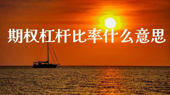 期权杠杆比率什么意思_https://m.15771688.com_美国道指_第1张