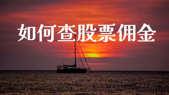 如何查股票佣金_https://m.15771688.com_道指实时行情_第1张