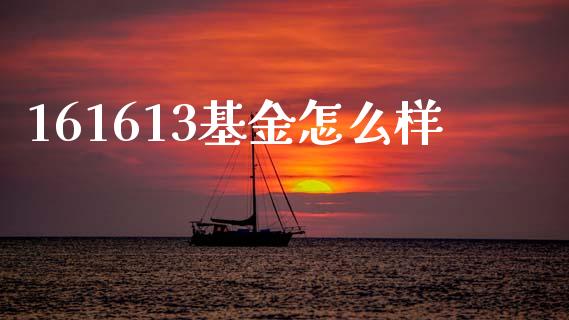 161613基金怎么样_https://m.15771688.com_美国道指_第1张
