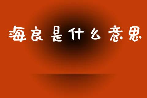 海良是什么意思_https://m.15771688.com_期货手续费_第1张