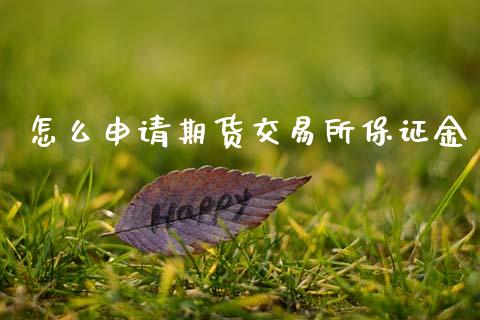 怎么申请期货交易所保证金_https://m.15771688.com_美国道指_第1张