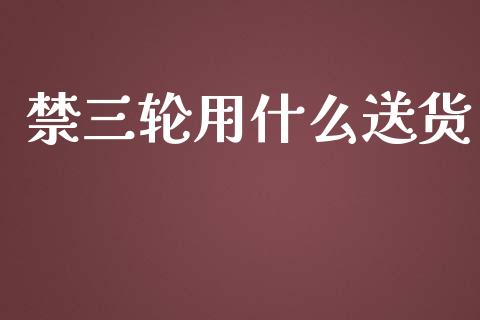 禁三轮用什么送货_https://m.15771688.com_期货开户_第1张