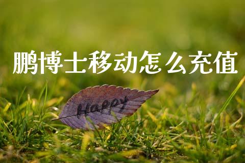 鹏博士移动怎么充值_https://m.15771688.com_美国道指_第1张