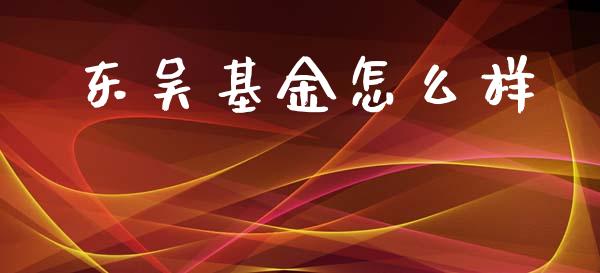 东吴基金怎么样_https://m.15771688.com_期货手续费_第1张