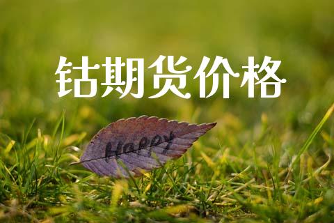 钴期货价格_https://m.15771688.com_美国道指_第1张