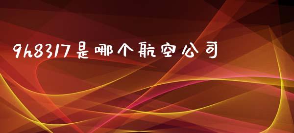9h8317是哪个航空公司_https://m.15771688.com_道指实时行情_第1张