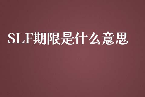 SLF期限是什么意思_https://m.15771688.com_期货开户_第1张