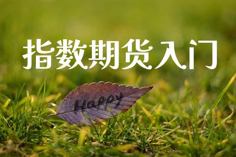 指数期货入门_https://m.15771688.com_美国道指_第1张